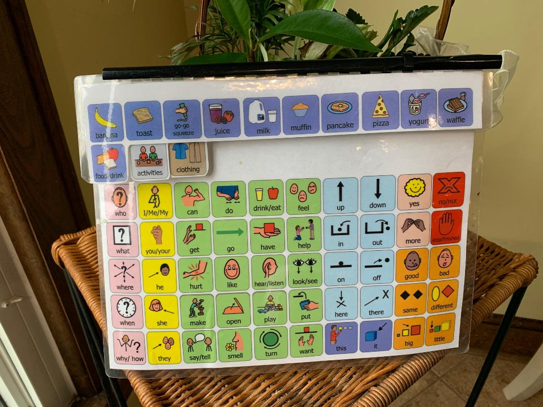 Assistive Technology (Speech Devices)