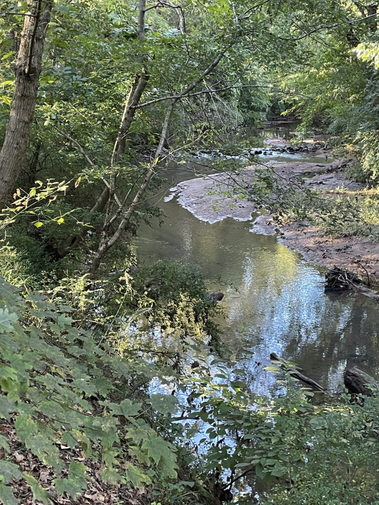 creek at low water stage

